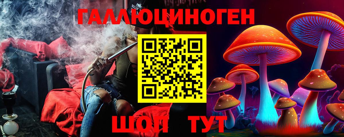 Псилоцибиновые грибы прущие грибы  Вход с VPN  Кудрово  Галлюциногенные грибы Psilocybine cubensis 